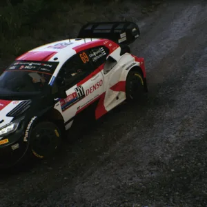 EA SPORTS WRC 24 [PS5] - изображение 3