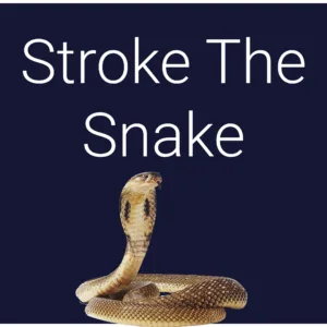 Stroke The Snake [PS4] - изображение 2