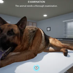 My Life: Pet Vet [PS5] - изображение 3