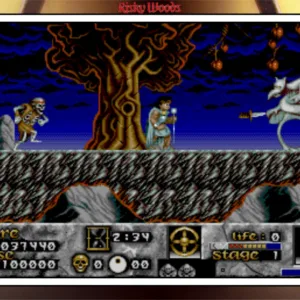 Risky Woods (QUByte Classics) [PS4] - изображение 2