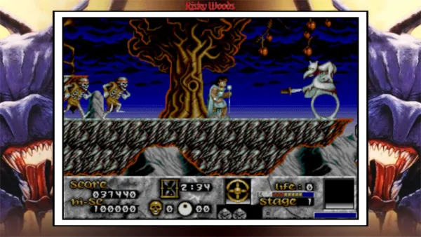 Risky Woods (QUByte Classics) [PS4] - изображение 2