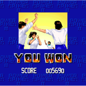 ACA NEOGEO POWER SPIKES II [PS4] - изображение 3