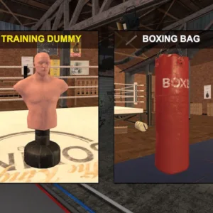 Boxer [PS4] - изображение 3