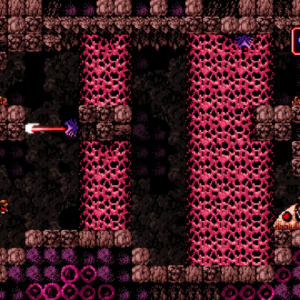 Axiom Verge [PS4] - изображение 4