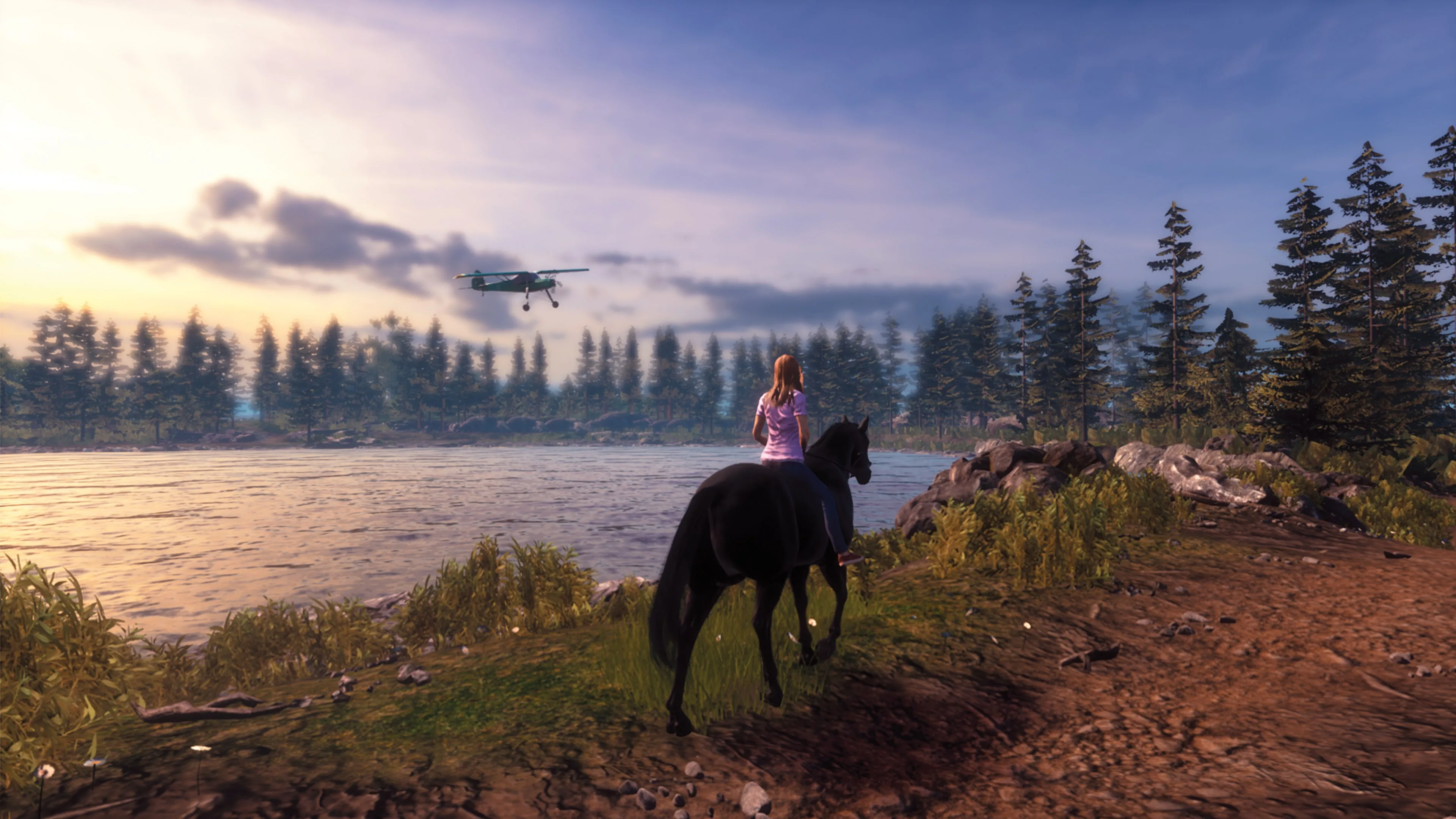 Windstorm: Start of a Great Friendship [PS4] - изображение 2