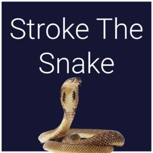 Stroke The Snake [PS4]