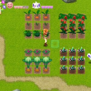 Harvest Moon: Light of Hope Special Edition [PS4] - изображение 2