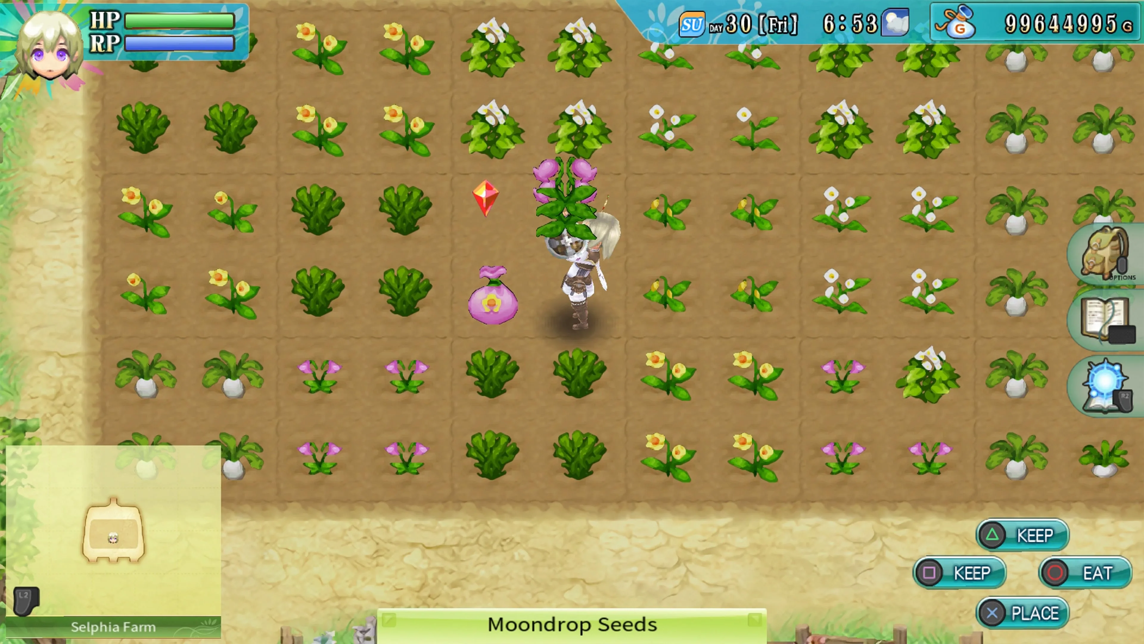 Rune Factory 4 Special [PS4] - изображение 3