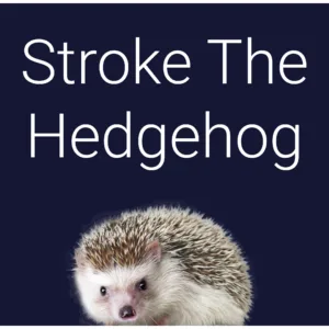 Stroke The Hedgehog [PS4] - изображение 2