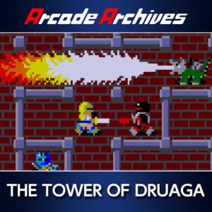 Arcade Archives THE TOWER OF DRUAGA [PS4]