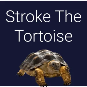 Stroke The Tortoise [PS4] - изображение 2