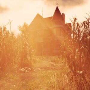 MAIZE [PS4] - изображение 2