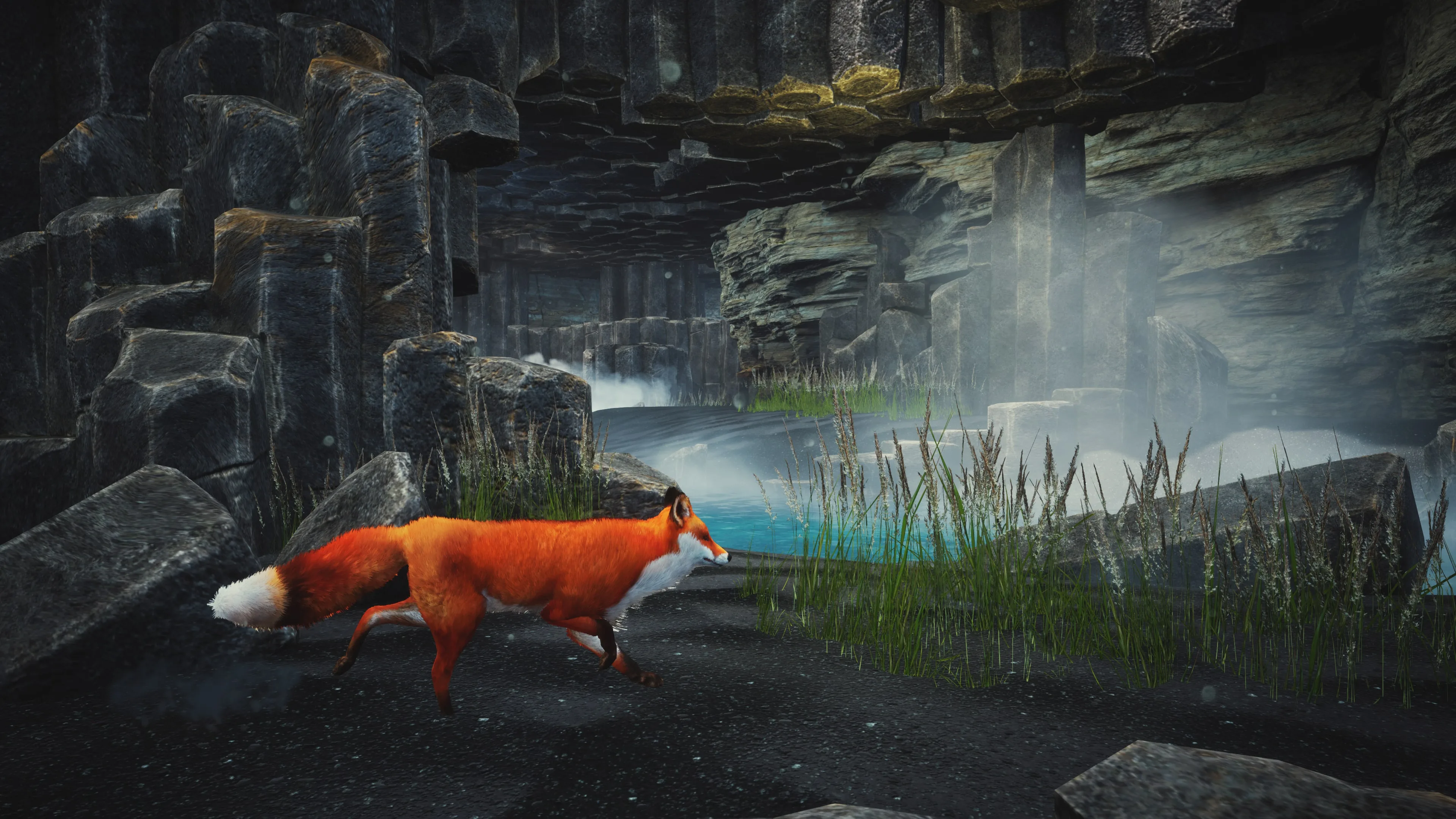 Spirit of the North: Enhanced Edition [PS5] - изображение 4