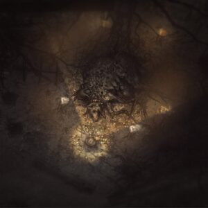 Darkwood [PS5] - изображение 2