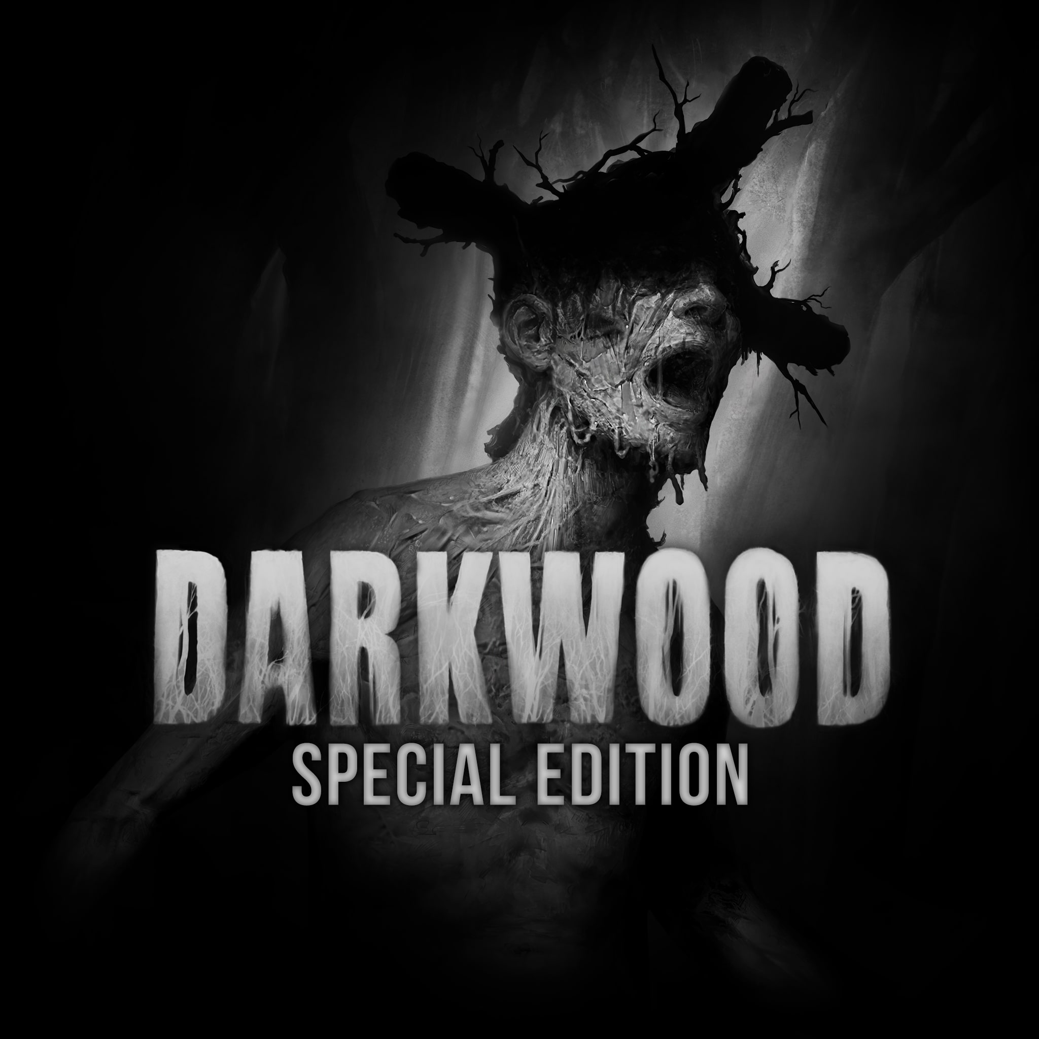 Darkwood - Special Edition [PS4] cover