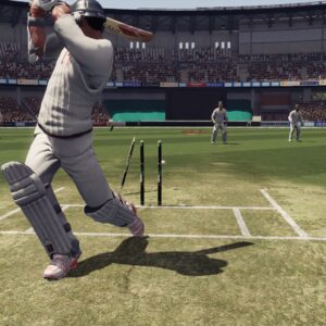 Don Bradman Cricket  [PS4] - изображение 2