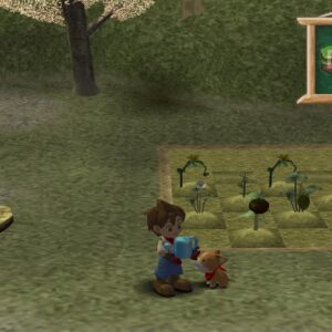 Harvest Moon: A Wonderful Life Special Edition [PS4] - изображение 2