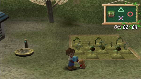 Harvest Moon: A Wonderful Life Special Edition [PS4] - изображение 2