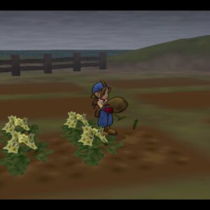 Harvest Moon: Save the Homeland [PS4] - изображение 2