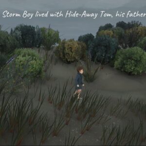 Storm Boy [PS4] - изображение 2