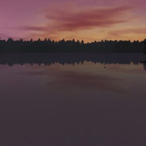 Walden, a game [PS4] - изображение 3