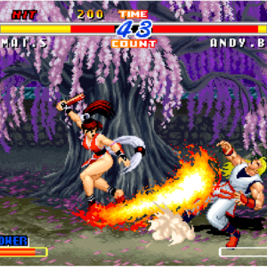 ACA NEOGEO REAL BOUT FATAL FURY 2 [PS4] - изображение 3