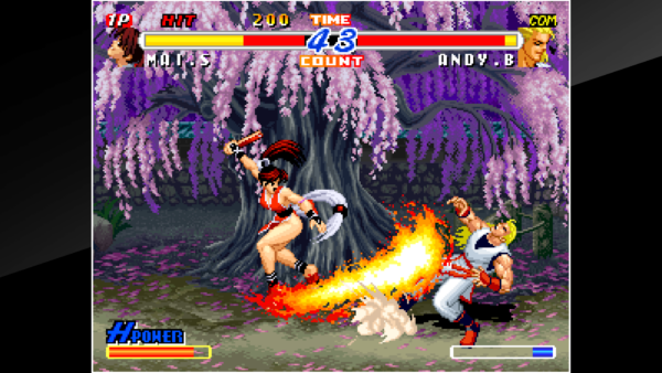 ACA NEOGEO REAL BOUT FATAL FURY 2 [PS4] - изображение 3