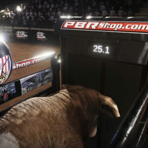 8 To Glory - The Official Game of the PBR [PS4] - изображение 3