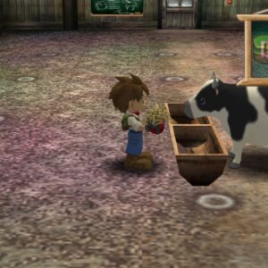 Harvest Moon: A Wonderful Life Special Edition [PS4] - изображение 4