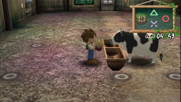Harvest Moon: A Wonderful Life Special Edition [PS4] - изображение 4