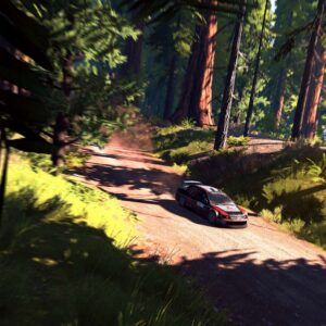 V-Rally 4 [PS4] - изображение 4