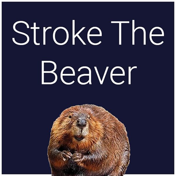 Stroke The Beaver [PS4] - изображение 1