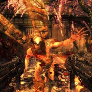 Shadow Warrior [PS4] - изображение 4