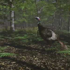 Pro Turkey Hunting [PS4] - изображение 2