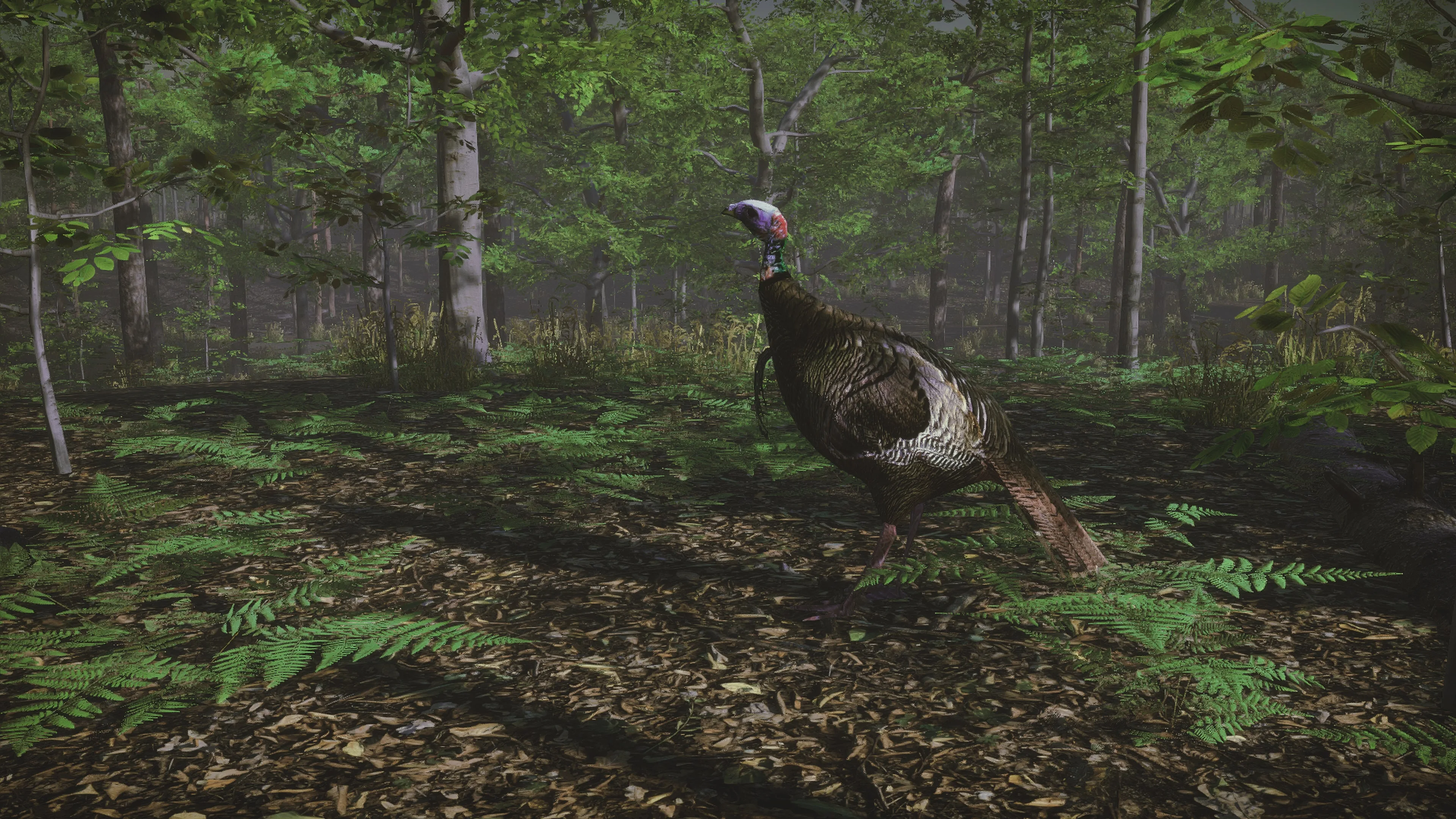 Pro Turkey Hunting [PS4] - изображение 2