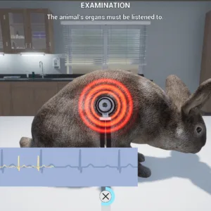My Life: Pet Vet [PS5] - изображение 2