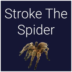 Stroke The Spider [PS4]