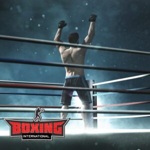 International Boxing [PS4]