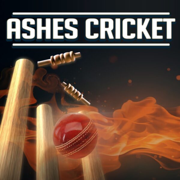 ASHES CRICKET [PS4] - изображение 1