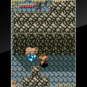 Arcade Archives VANDYKE [PS4] - изображение 4