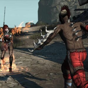 Borderlands: Game of the Year Edition [PS4] - изображение 3