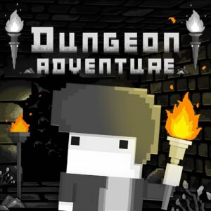 Dungeon Adventure [PS4]