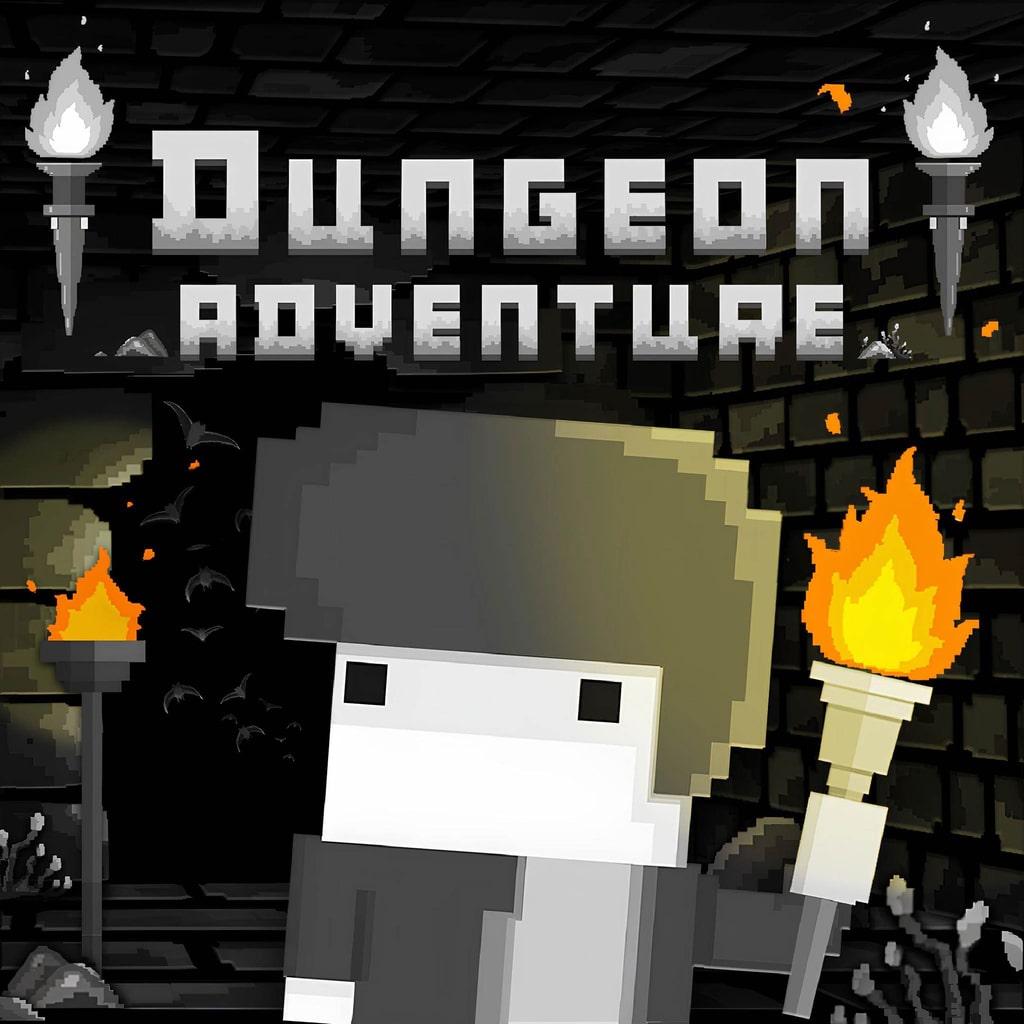 Dungeon Adventure [PS4] cover