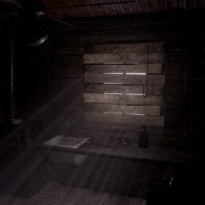 A Chair in a Room: Greenwater [PS4] - изображение 3