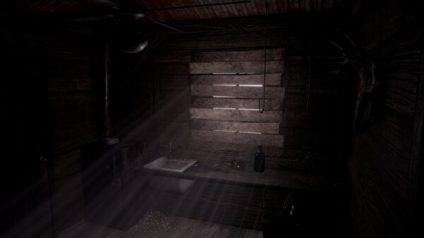 A Chair in a Room: Greenwater [PS4] - изображение 3