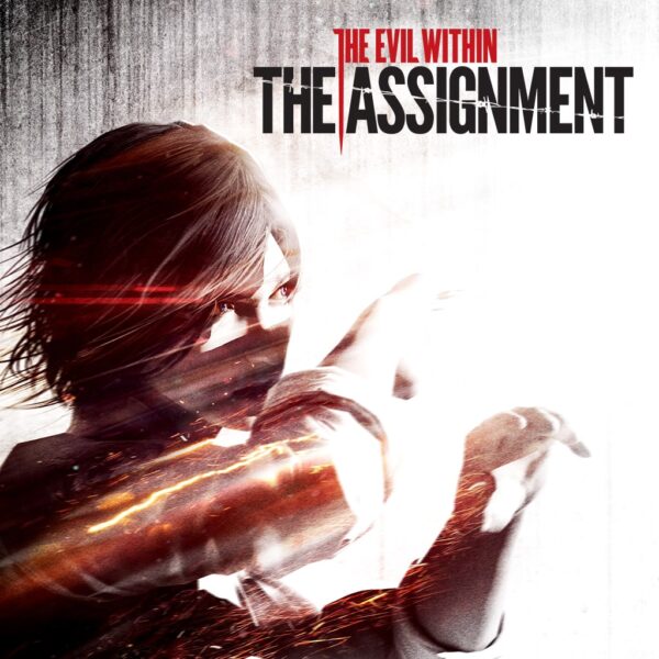 The Assignment [PS4]