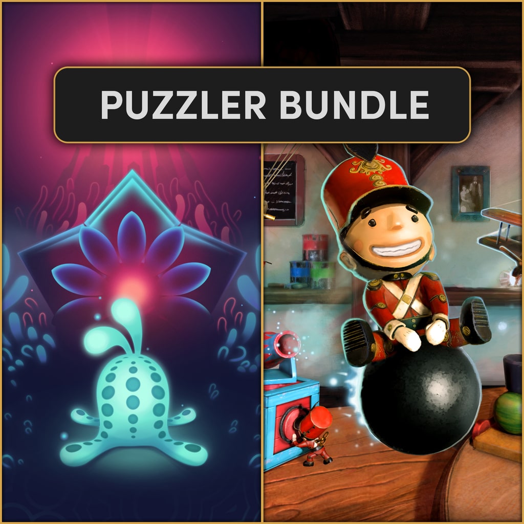 Wired Puzzler Bundle [PS4,&nbsp;PS5] cover