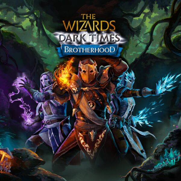 The Wizards: Dark Times - Brotherhood [PS5]
