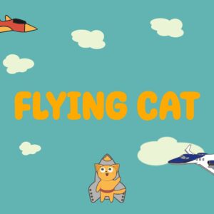 Flying cat [PS4]