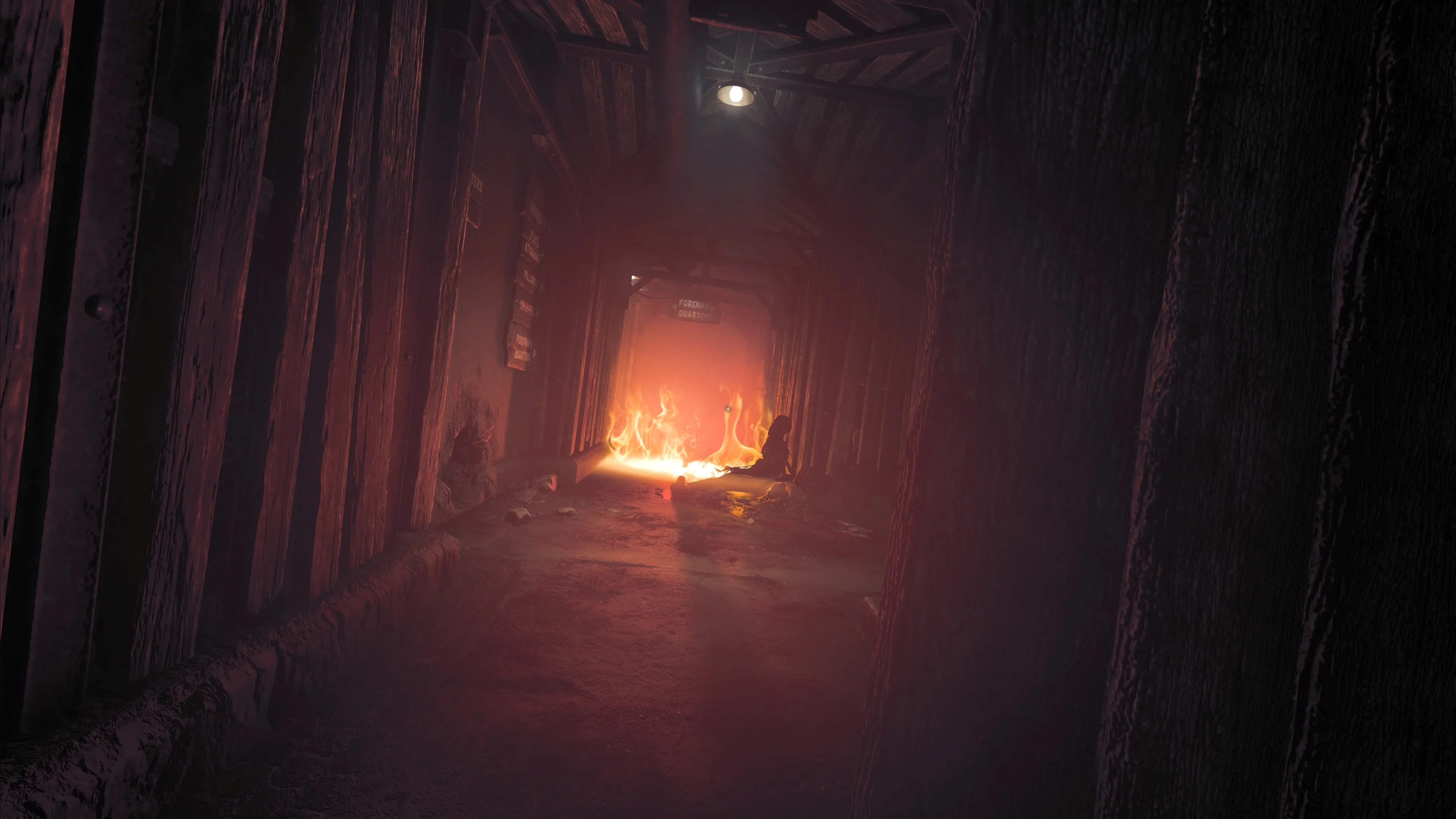 Amnesia: The Bunker [PS4] - изображение 4